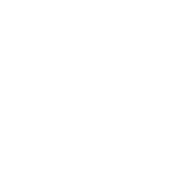 Star decoration